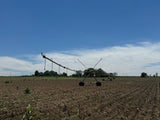 Property 3039915 - Image 7