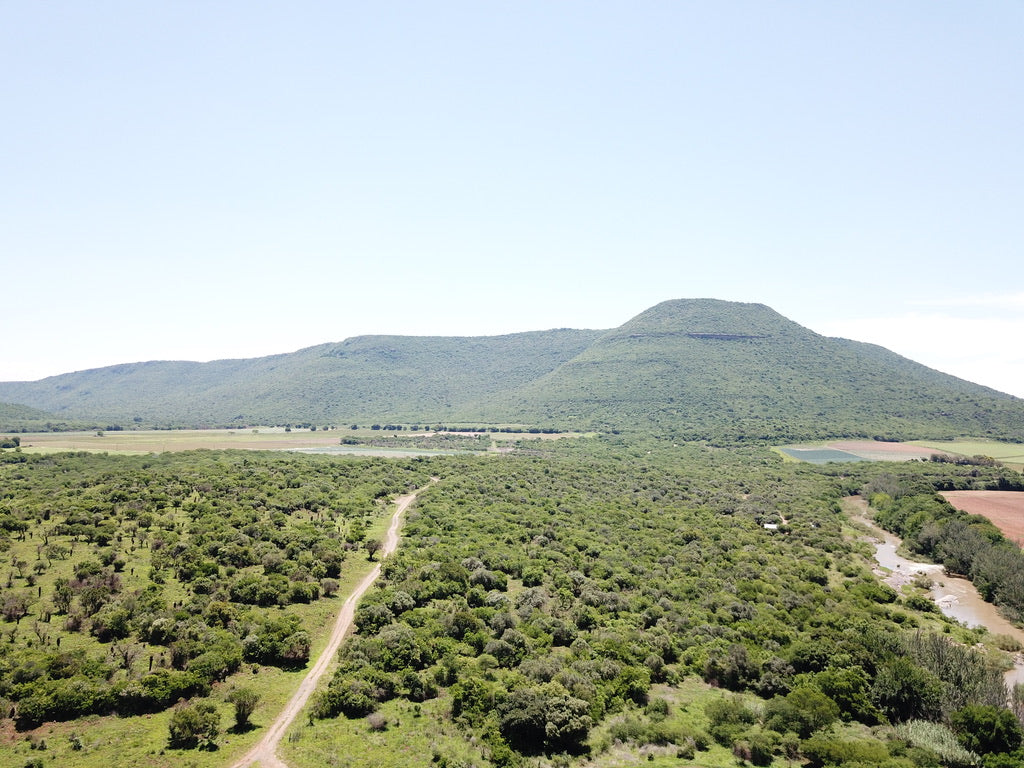 Property 3039915 - Image 9