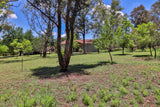 Property 3040033 - Image 74