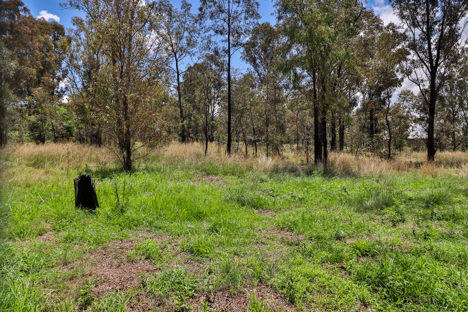 Property 3040033 - Image 77