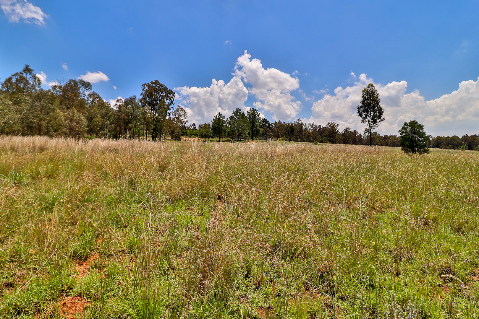 Property 3040033 - Image 78