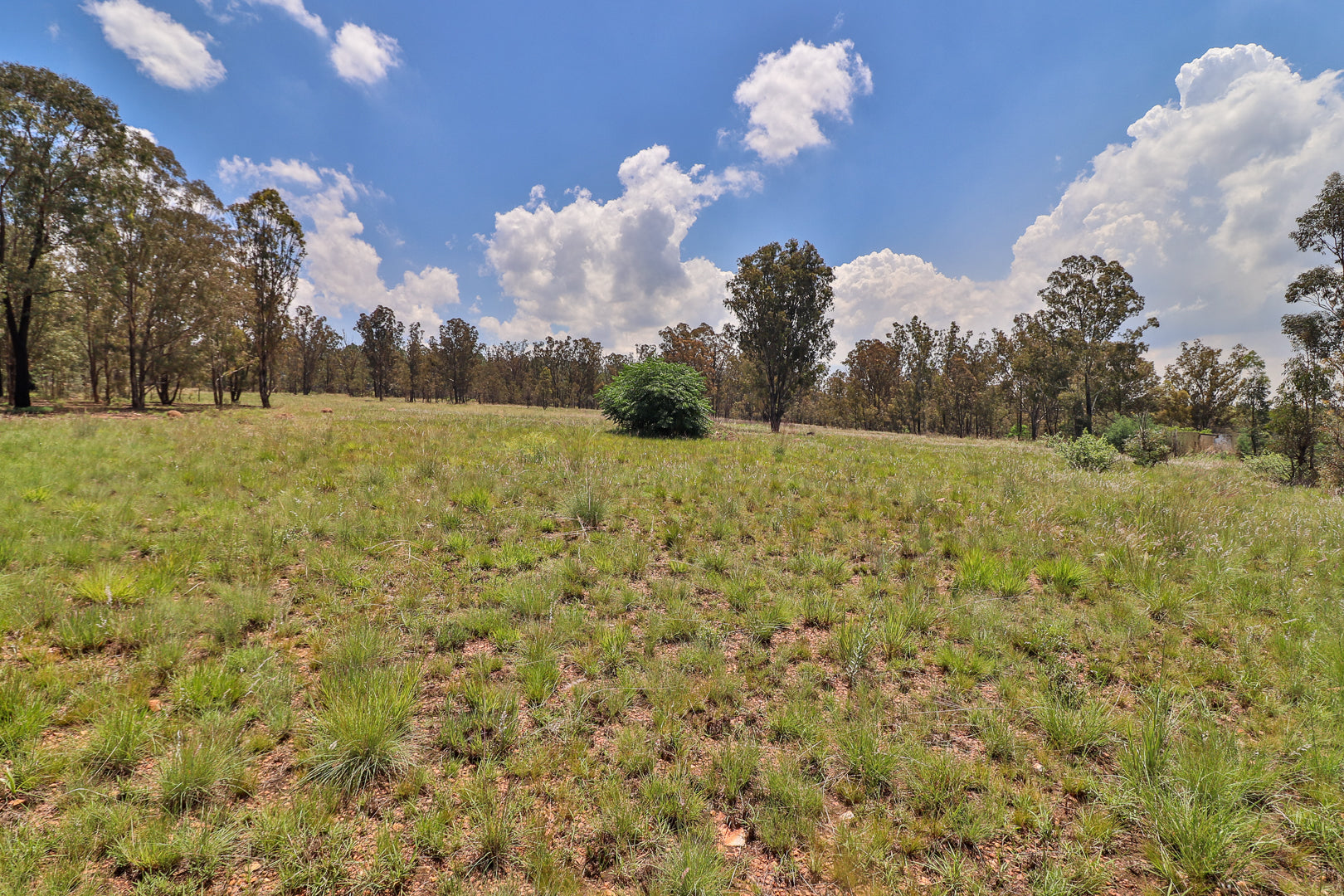 Property 3040033 - Image 84