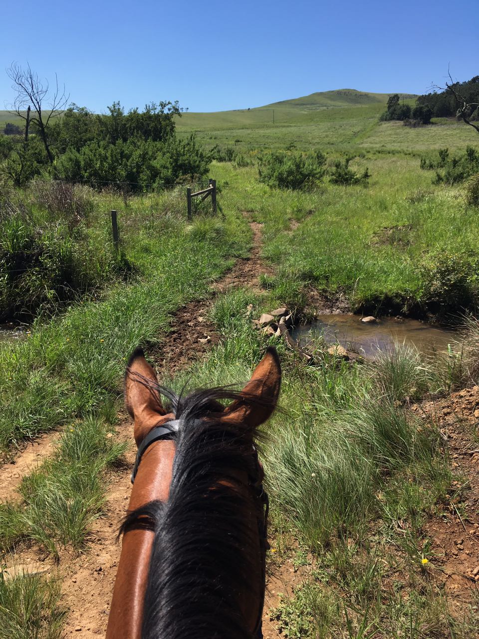 Property 3044725 - Image 14