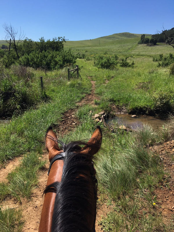 Property 3044725 - Image 14