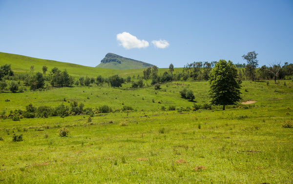 Property 3044725 - Image 21