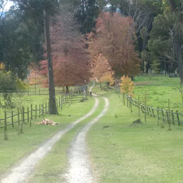 Property 3044725 - Image 7