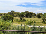 Property 3050424 - Image 54