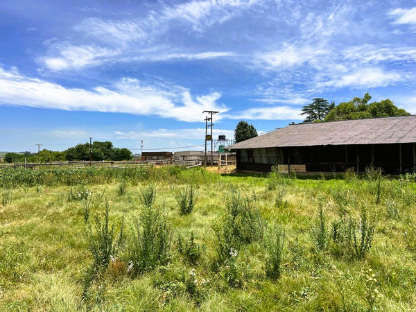 Property 3050424 - Image 56
