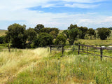 Property 3050424 - Image 58