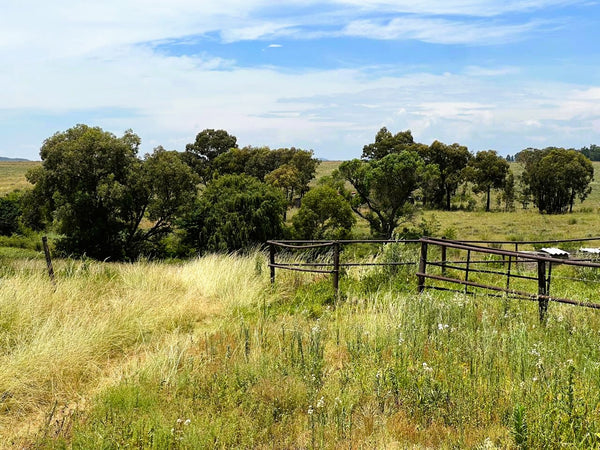 Property 3050424 - Image 58