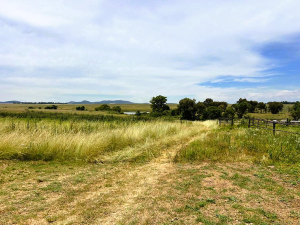 Property 3050424 - Image 61