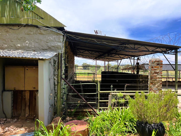 Property 3050424 - Image 63