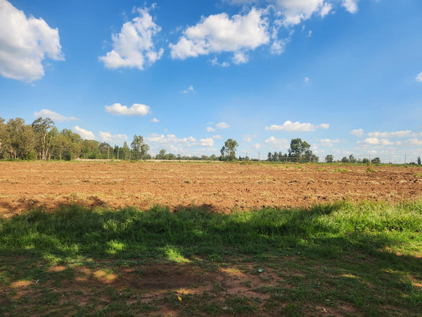 Property 3070398 - Image 17