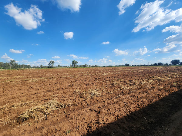 Property 3070398 - Image 3