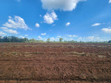 Property 3070398 - Image 4