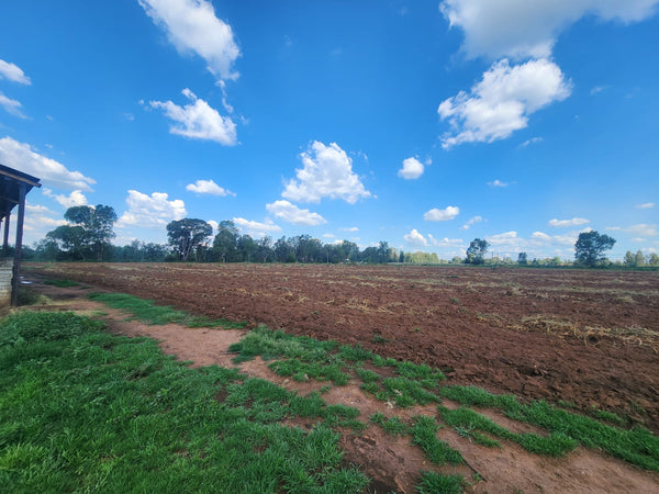Property 3070398 - Image 9