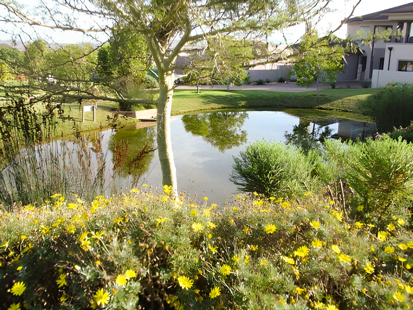 Property 3072955 - Image 47