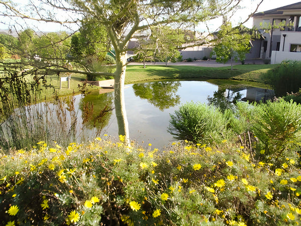 Property 3072955 - Image 47