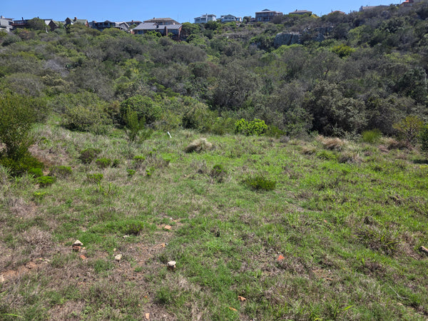 Property 3073070 - Image 10