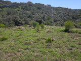 Property 3073070 - Image 11