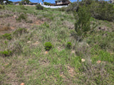 Property 3073070 - Image 12