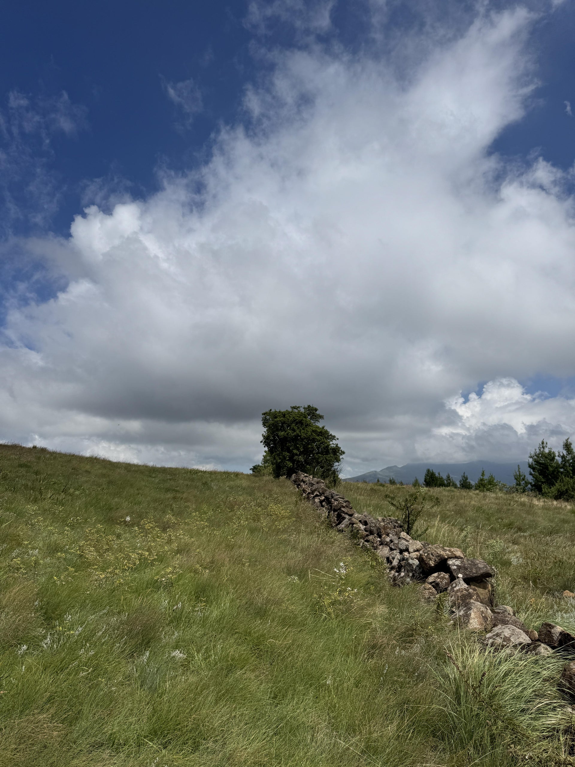 Property 3073171 - Image 2