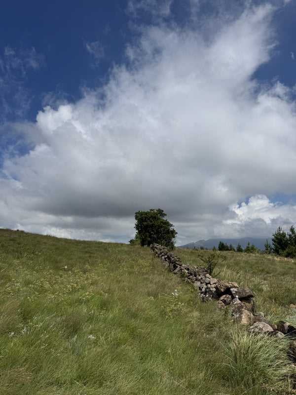 Property 3073171 - Image 2