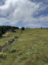 Property 3073171 - Image 3