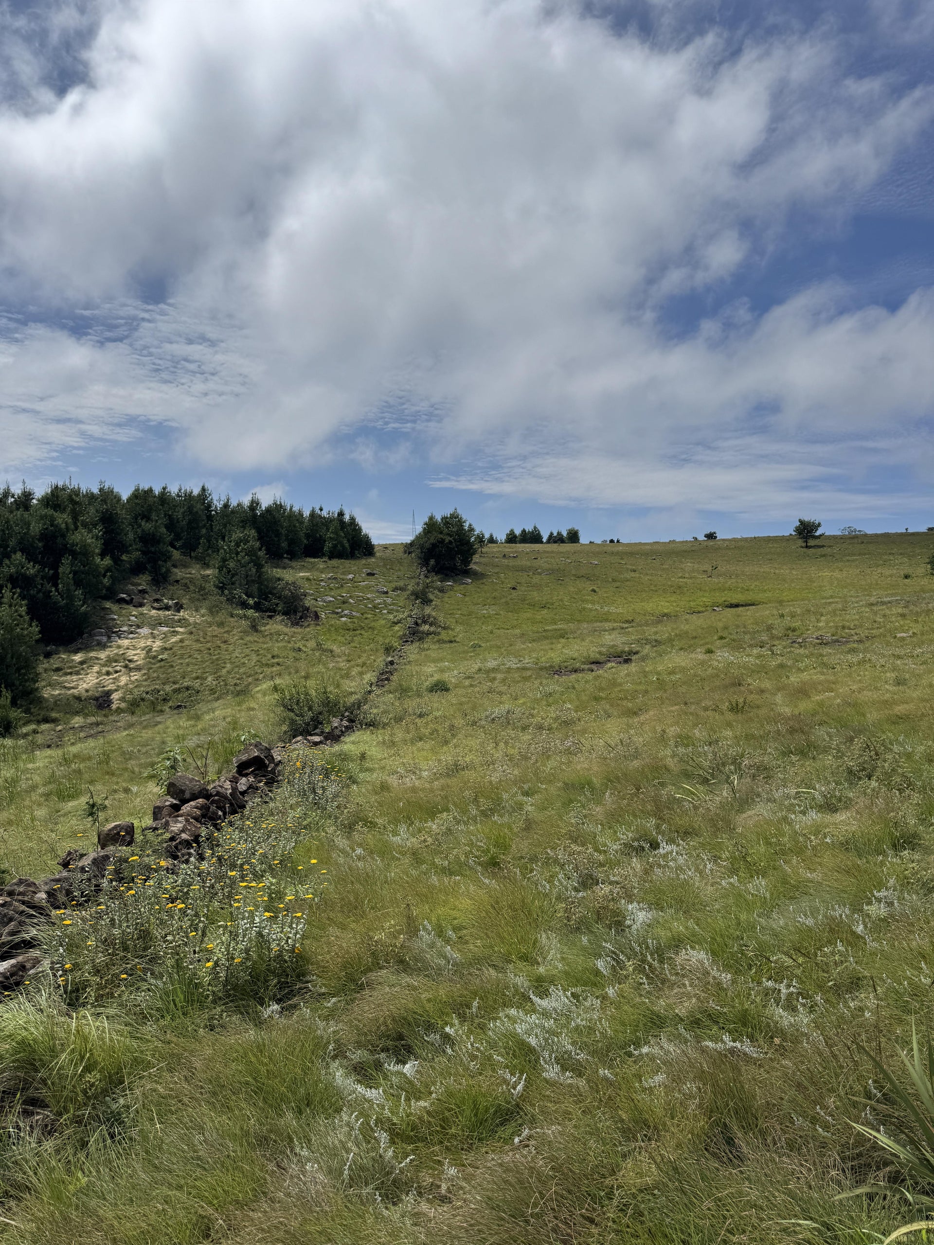 Property 3073171 - Image 3