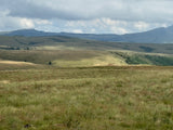 Property 3073171 - Image 7