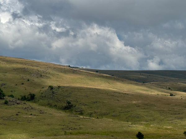 Property 3073171 - Image 9