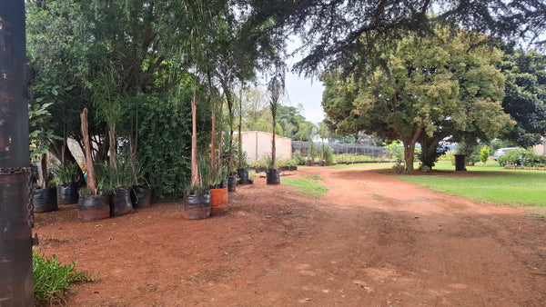 Property 3079580 - Image 4