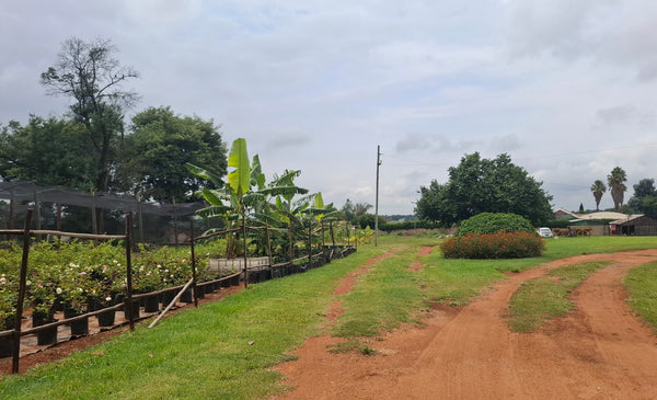 Property 3079580 - Image 5