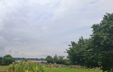 Property 3079580 - Image 6