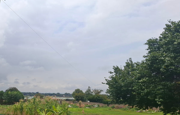 Property 3079580 - Image 6