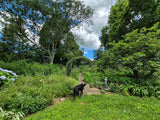 Property 3079860 - Image 10