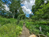 Property 3079860 - Image 11