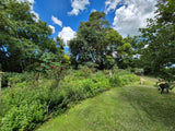 Property 3079860 - Image 13