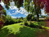 Property 3079860 - Image 34