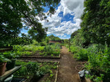 Property 3079860 - Image 38