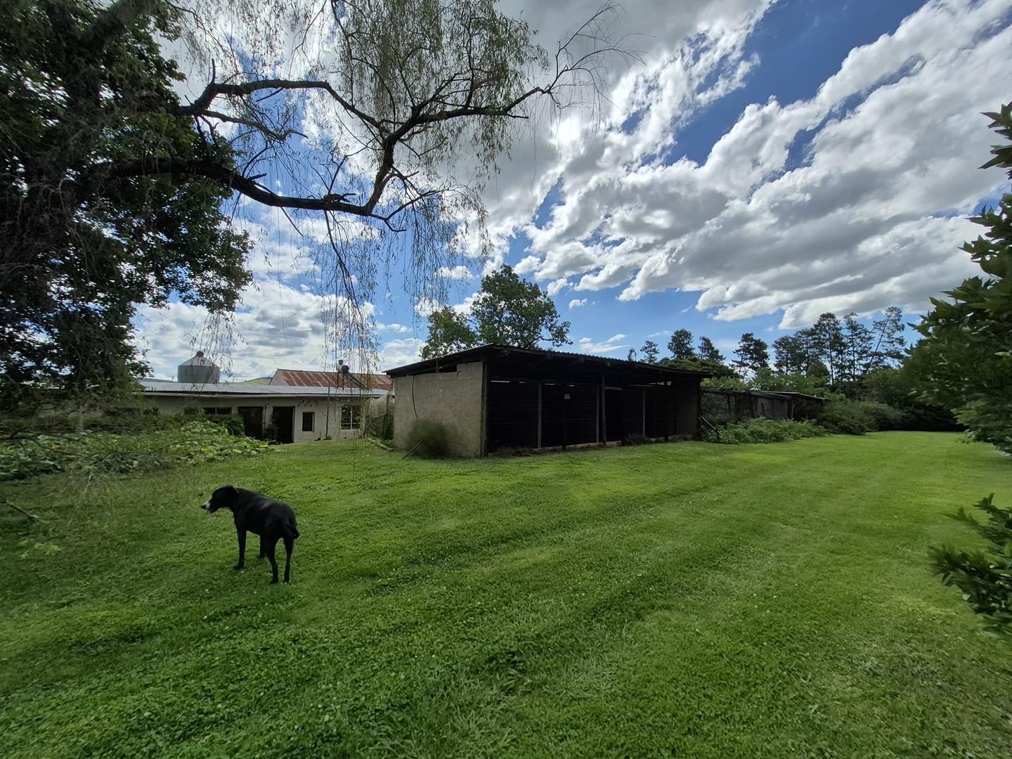 Property 3079860 - Image 39