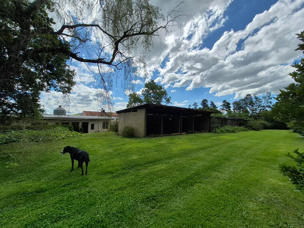 Property 3079860 - Image 39