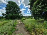 Property 3079860 - Image 41