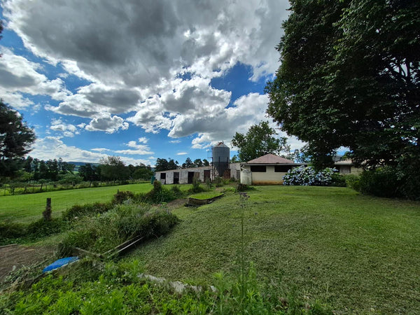 Property 3079860 - Image 44