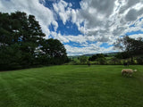 Property 3079860 - Image 46