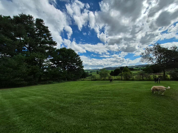 Property 3079860 - Image 46