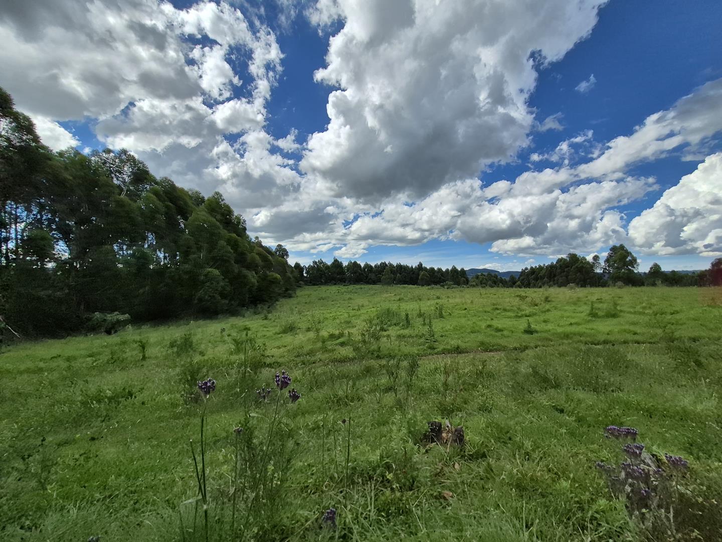 Property 3079860 - Image 50