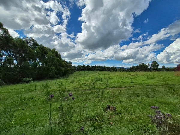 Property 3079860 - Image 50