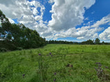 Property 3079860 - Image 51