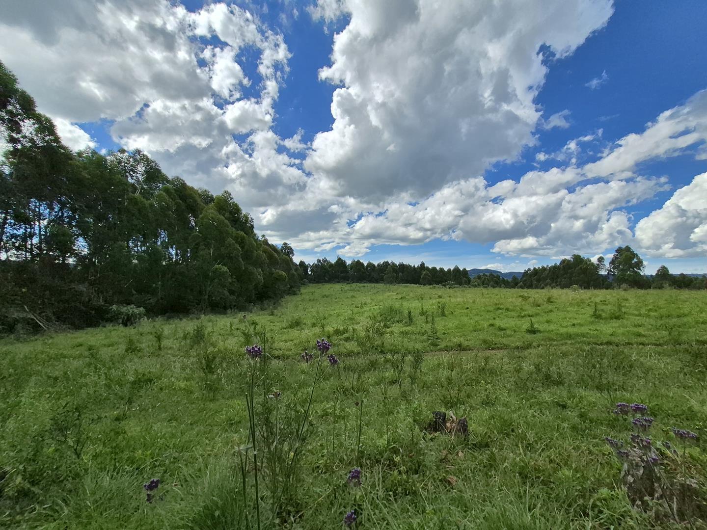 Property 3079860 - Image 51